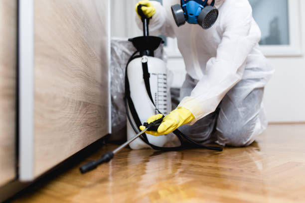 Wasp Removal Services in Silverdale, WA