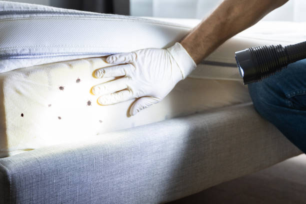Silverdale, WA Pest Control Company